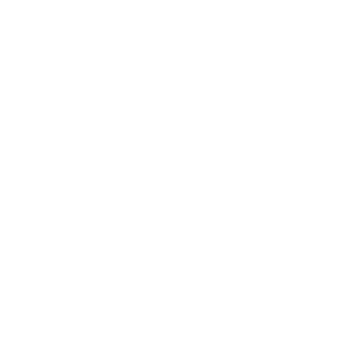 Facebook Slowfly